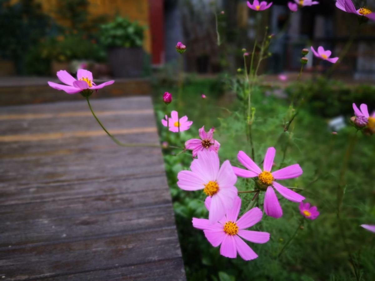 Dao Bian Inn Zhangjiajie Buitenkant foto